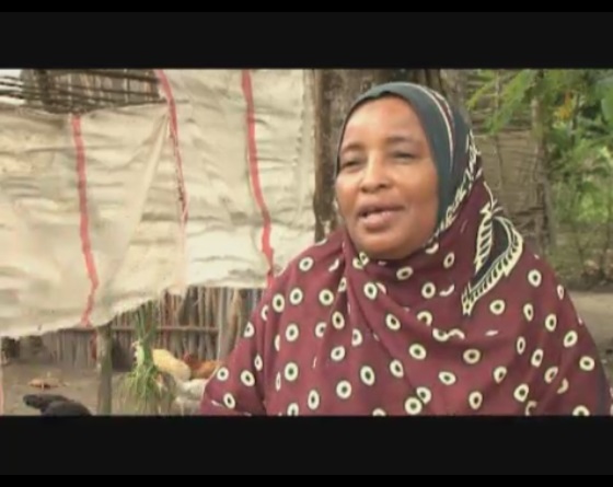 Tanzania: agricoltura a Zanzibar